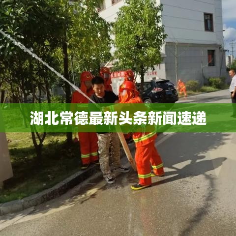 湖北常德最新头条新闻速递