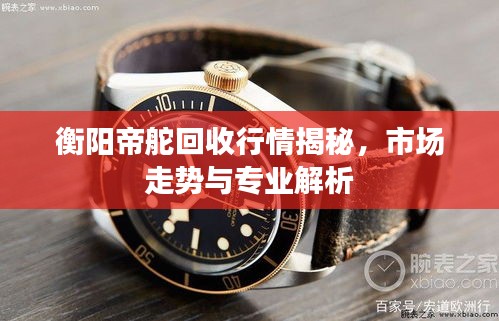衡阳帝舵回收行情揭秘，市场走势与专业解析