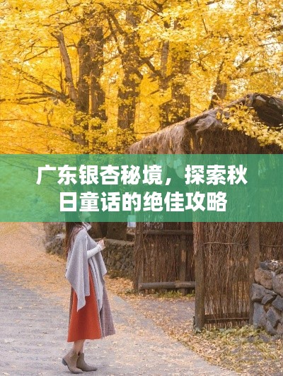 广东银杏秘境，探索秋日童话的绝佳攻略