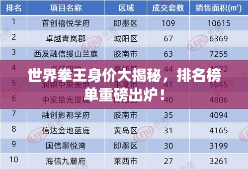 世界拳王身价大揭秘，排名榜单重磅出炉！