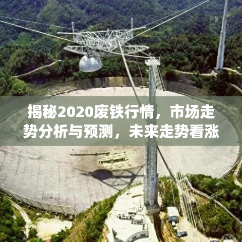 2025年6月24日