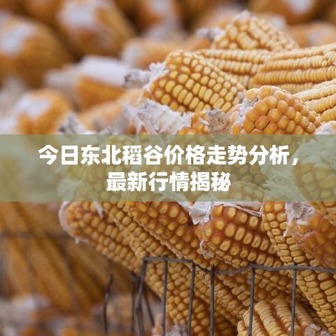 三心二意