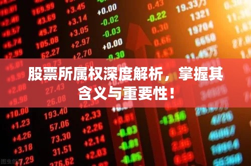 股票所属权深度解析，掌握其含义与重要性！