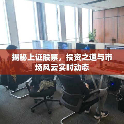纲挈目张