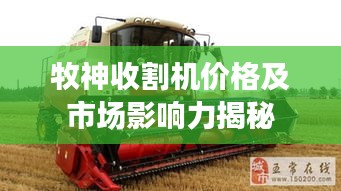 鸟革翬飞