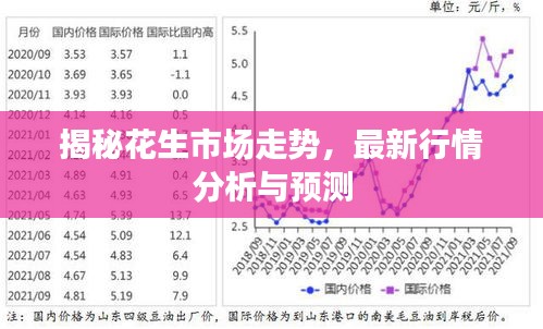 揭秘花生市场走势，最新行情分析与预测
