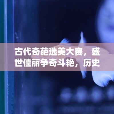 古代奇葩选美大赛，盛世佳丽争奇斗艳，历史背后的美丽传奇！