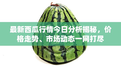 最新西瓜行情今日分析揭秘，价格走势、市场动态一网打尽