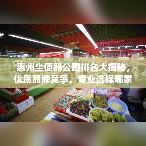 惠州坐便器公司排名大揭秘，优质品牌竞争，专业选择哪家？