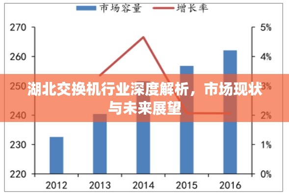 湖北交换机行业深度解析，市场现状与未来展望