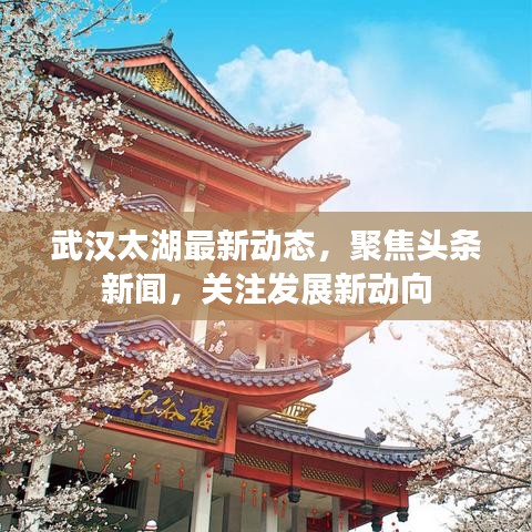 武汉太湖最新动态，聚焦头条新闻，关注发展新动向