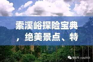 索溪峪探险宝典，绝美景点、特色美食、住宿推荐一网打尽！