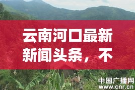 云南河口最新新闻头条，不容错过的当地动态！