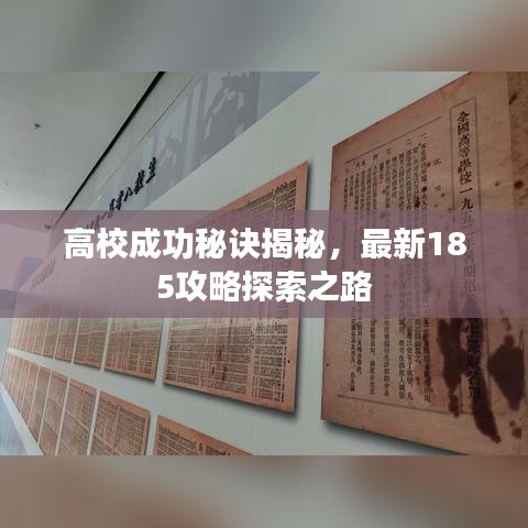 高校成功秘诀揭秘，最新185攻略探索之路