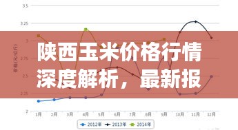 陕西玉米价格行情深度解析，最新报价与市场走势分析