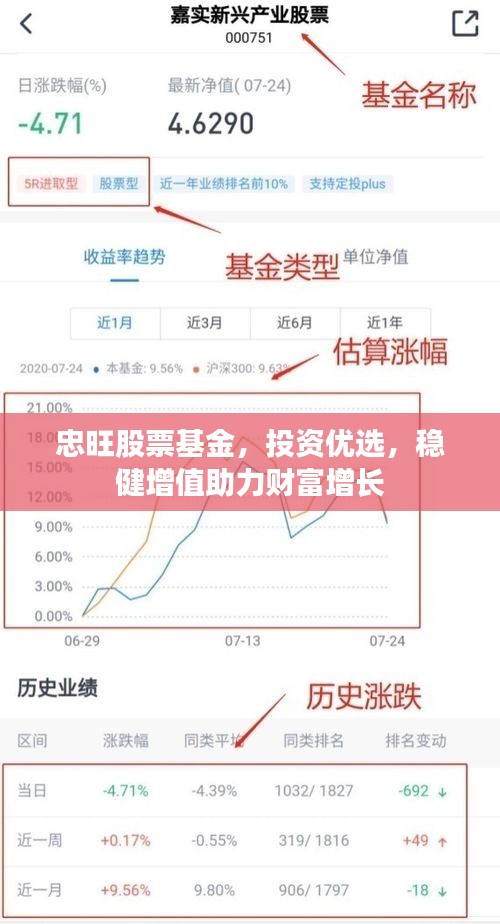 忠旺股票基金，投资优选，稳健增值助力财富增长
