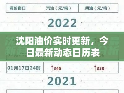 沈阳油价实时更新，今日最新动态日历表