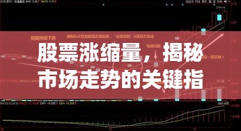 股票涨缩量，揭秘市场走势的关键指标！
