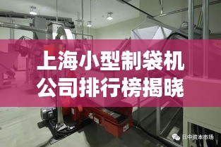 上海小型制袋机公司排行榜揭晓，优选企业一览