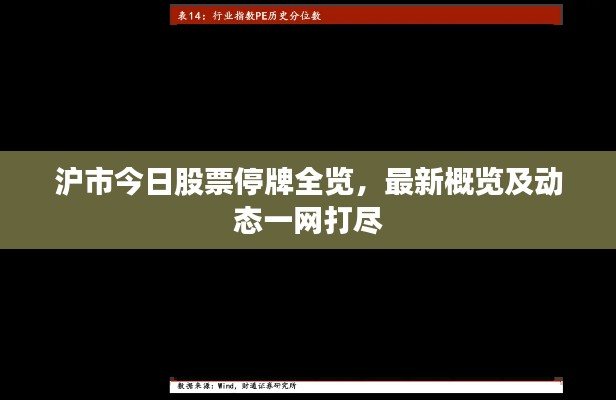 沪市今日股票停牌全览，最新概览及动态一网打尽