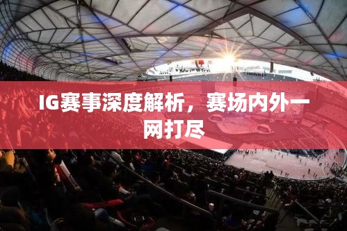 IG赛事深度解析，赛场内外一网打尽