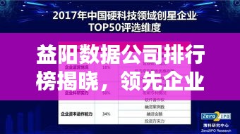 益阳数据公司排行榜揭晓，领先企业一览