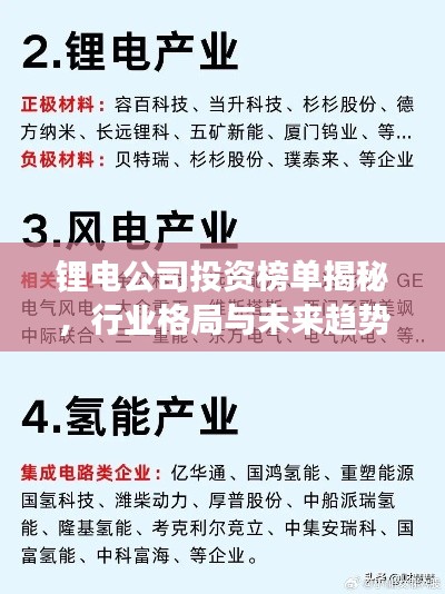 锂电公司投资榜单揭秘，行业格局与未来趋势洞察