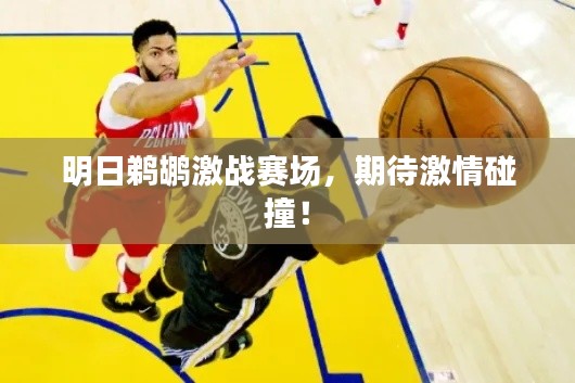 明日鹈鹕激战赛场，期待激情碰撞！