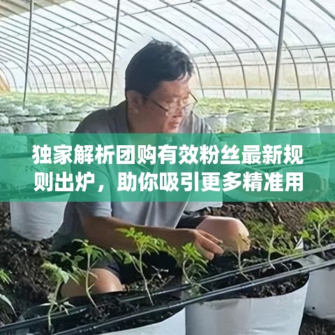 独家解析团购有效粉丝最新规则出炉，助你吸引更多精准用户！