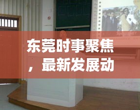 东莞时事聚焦，最新发展动态新闻头条