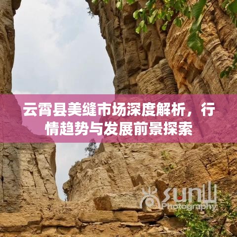 云霄县美缝市场深度解析，行情趋势与发展前景探索