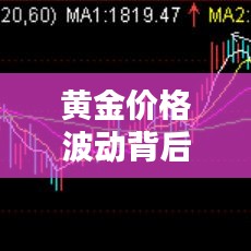 黄金价格波动背后的秘密，揭秘影响因素与趋势分析