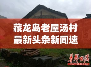 藏龙岛老屋汤村最新头条新闻速递