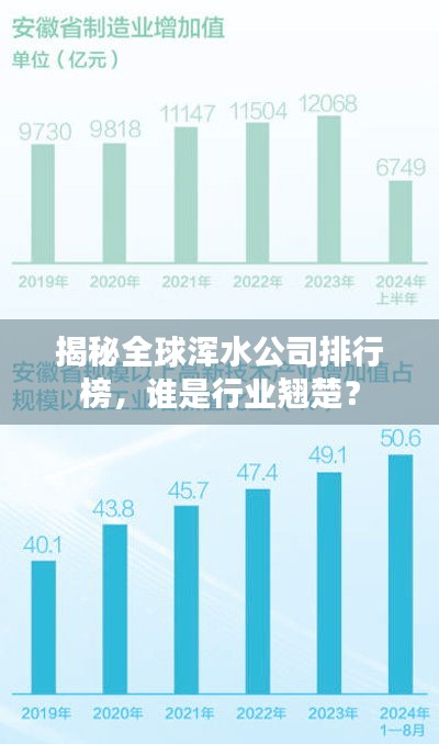 揭秘全球浑水公司排行榜，谁是行业翘楚？