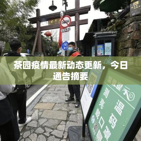 茶园疫情最新动态更新，今日通告摘要