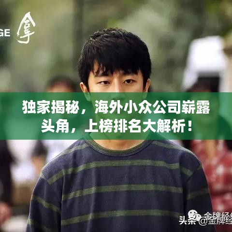 独家揭秘，海外小众公司崭露头角，上榜排名大解析！