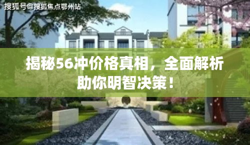 揭秘56冲价格真相，全面解析助你明智决策！