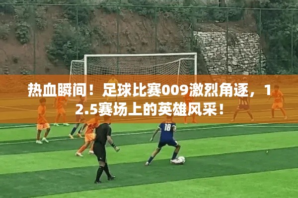 热血瞬间！足球比赛009激烈角逐，12.5赛场上的英雄风采！