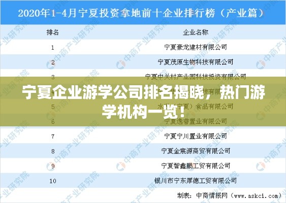 宁夏企业游学公司排名揭晓，热门游学机构一览！
