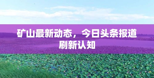矿山最新动态，今日头条报道刷新认知