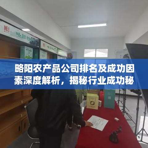 略阳农产品公司排名及成功因素深度解析，揭秘行业成功秘诀！