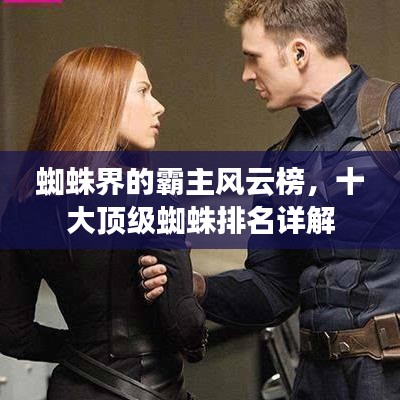 蜘蛛界的霸主风云榜，十大顶级蜘蛛排名详解