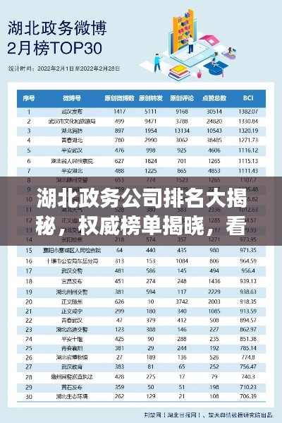 湖北政务公司排名大揭秘，权威榜单揭晓，看看你的选择上榜了吗？