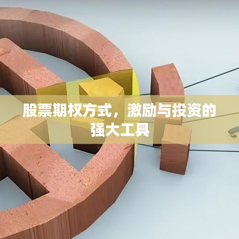 股票期权方式，激励与投资的强大工具