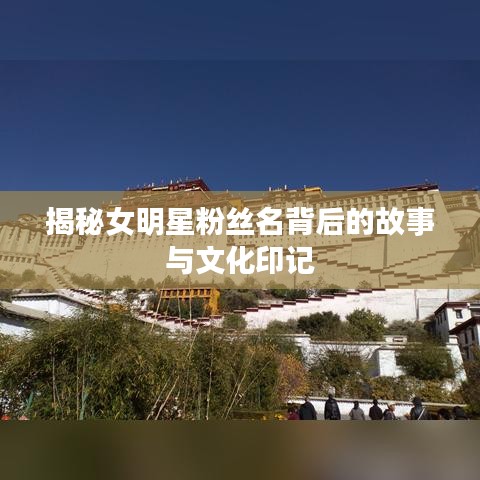 揭秘女明星粉丝名背后的故事与文化印记
