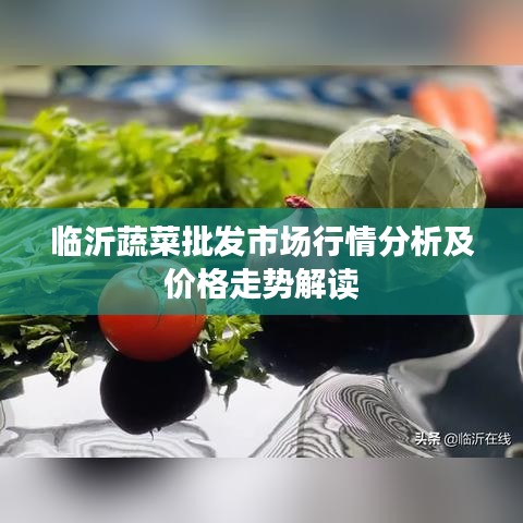 临沂蔬菜批发市场行情分析及价格走势解读